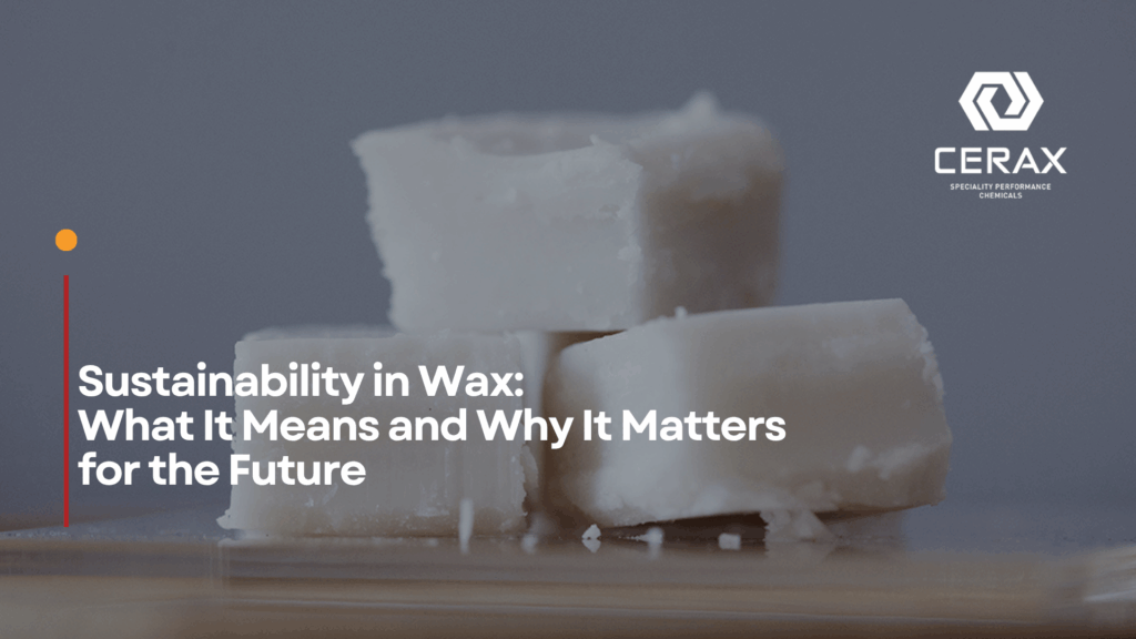 Sustainability in Wax: What It Means and Why It Matters for the Future
